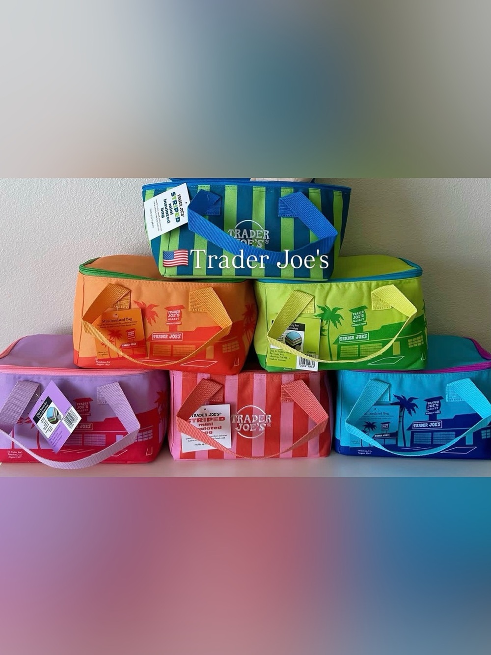 *NEW* Striped Mini Insulated Bag